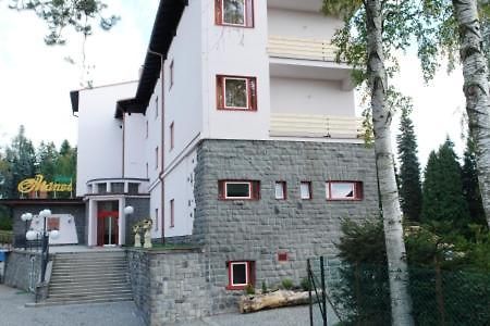 Hotel Manes Svratka Dış mekan fotoğraf