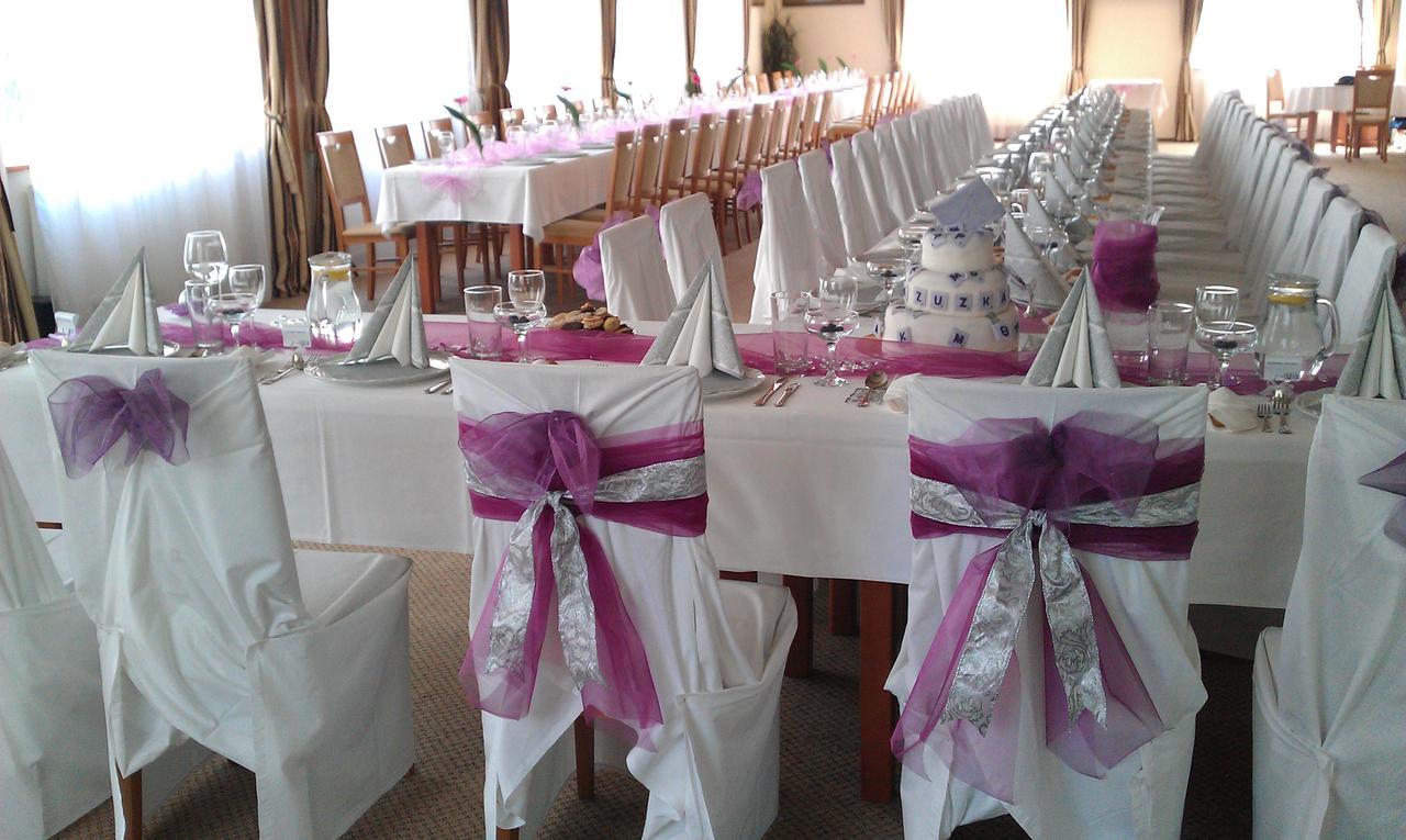 Hotel Manes Svratka Dış mekan fotoğraf