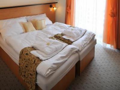 Hotel Manes Svratka Dış mekan fotoğraf