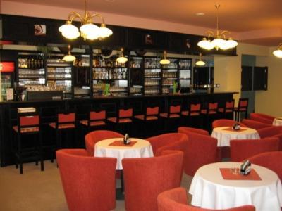 Hotel Manes Svratka Dış mekan fotoğraf